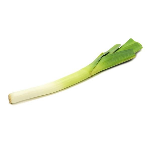 Лук порей