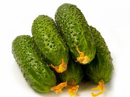 Огурцы короткоплодные Риат
